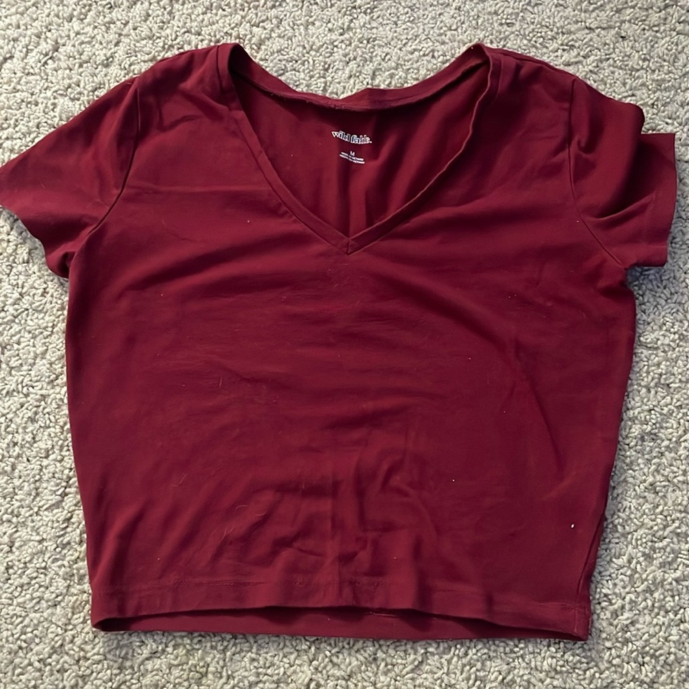 Wild Fable Cropped V Neck Tee Shirt